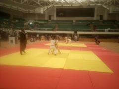 Judo compétition (3).jpg